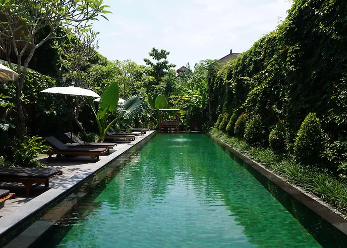 Sapodilla Ubud